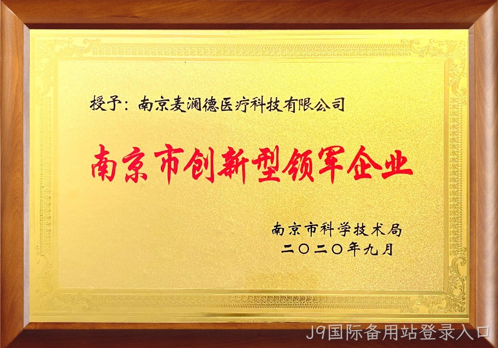 南京市创新型领军企业